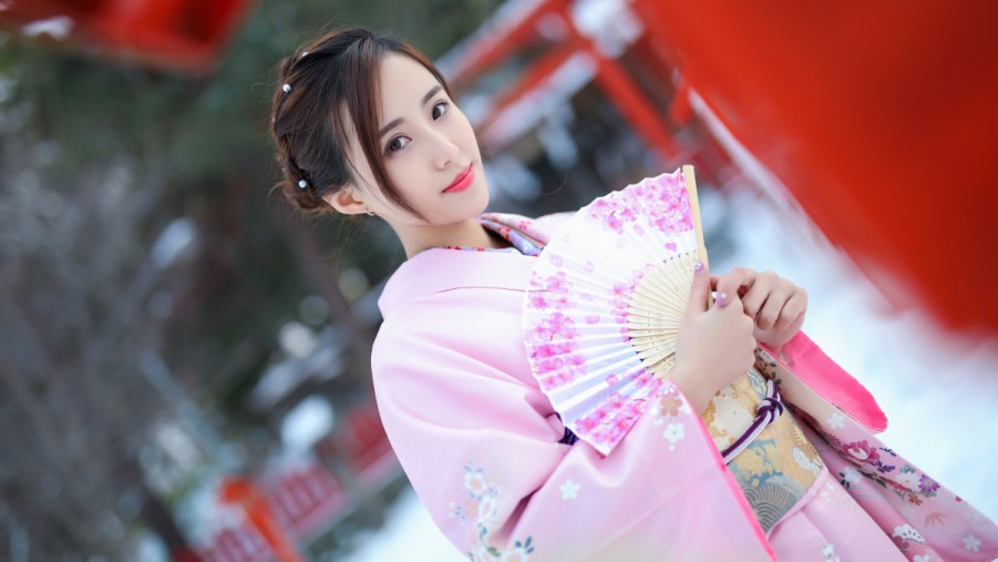 千年陶罐养兰花 泉州晋江迎春花市开启